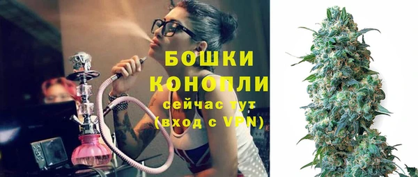шишки Абаза