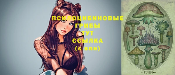 круглые Алексин